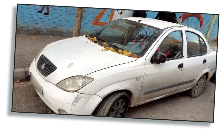 دختر افغانستانی در مشهد، بدن پدرش را سلاخی کرد!