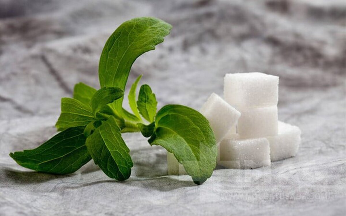 فواید قند استویا فواید قند استویا