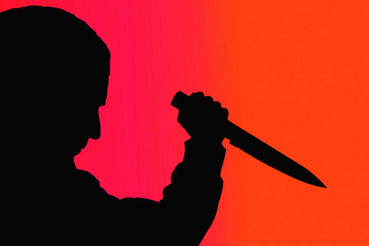 سلاخی سارق خانه با ۱۱ ضربه چاقوی صاحبخانه