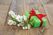 راهنمای انتخاب بهترین هدیه نوروزی