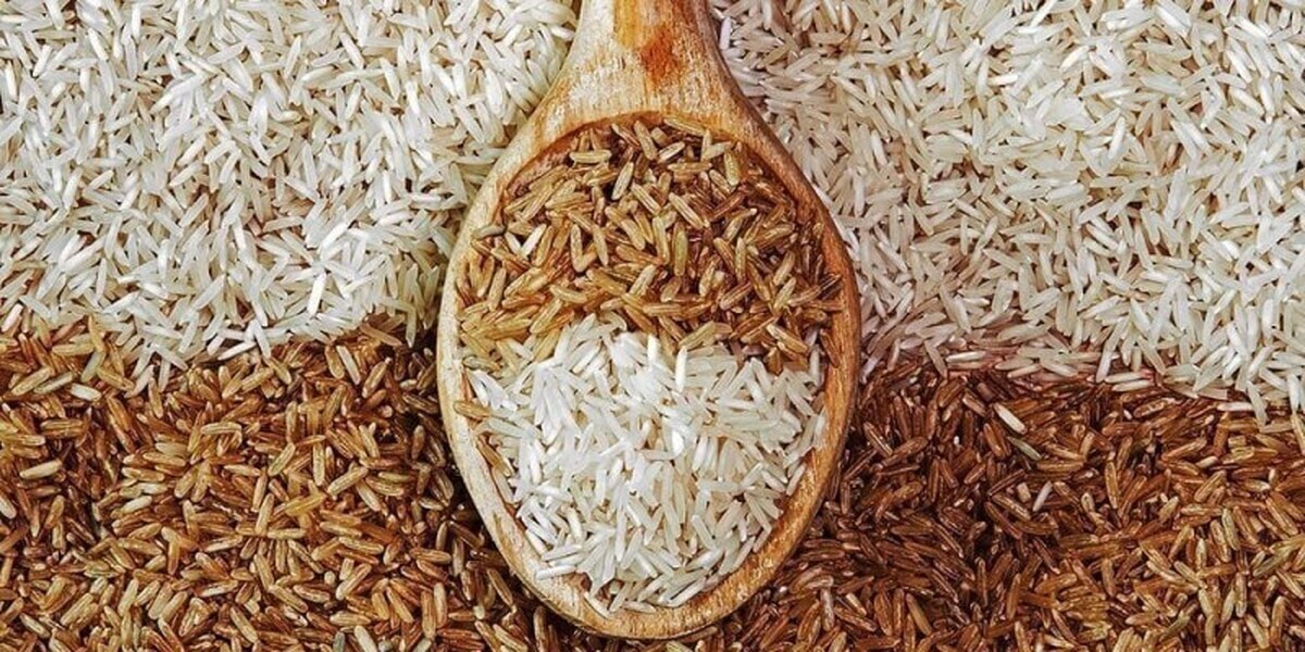 برنج قهوه‌ای؛ سالم‌تر یا پرخطرتر؟
