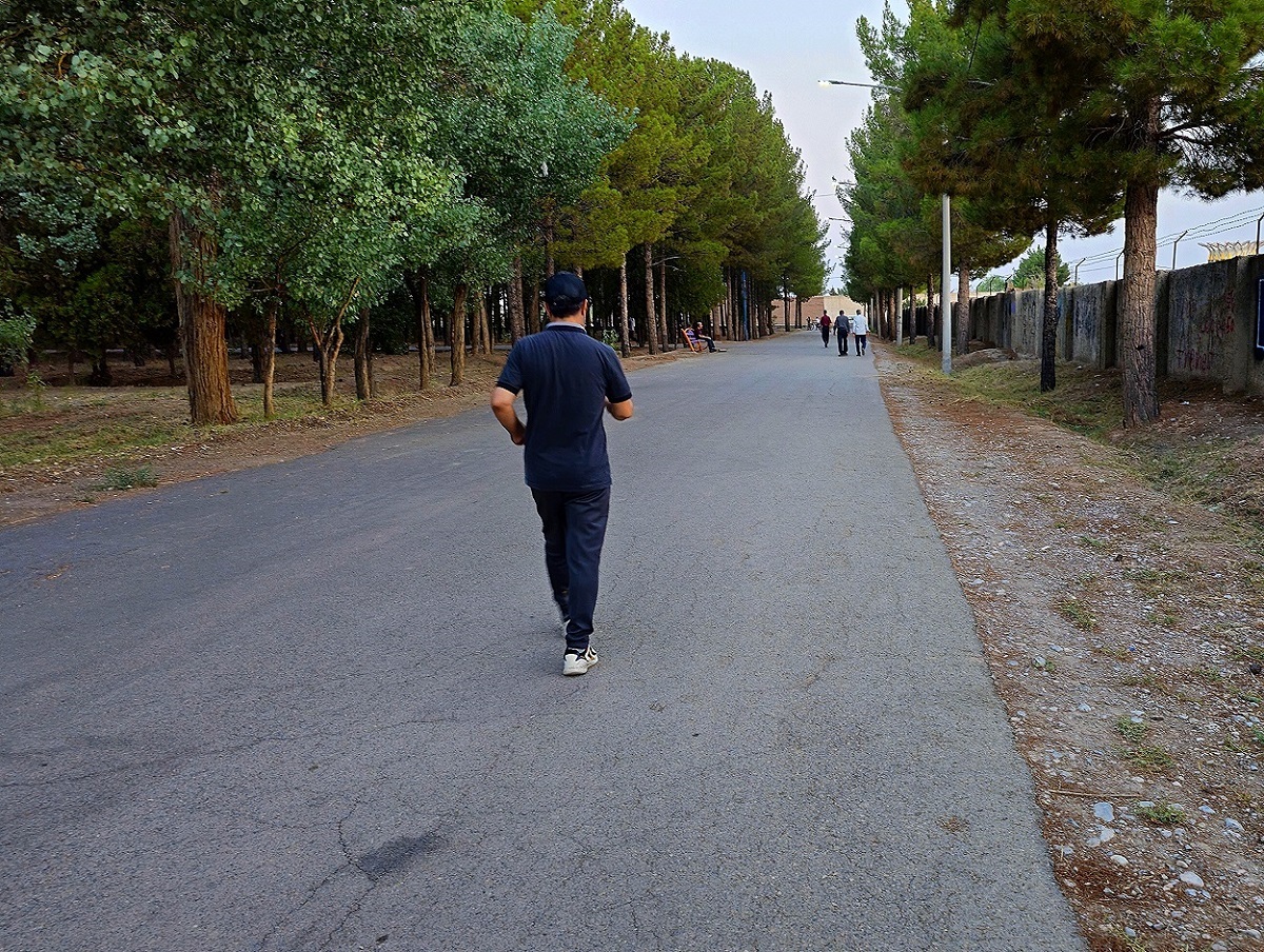 هر انسان در طول روز چند دقیقه باید پیاده روی کند؟ هر انسان در طول روز چند دقیقه باید پیاده روی کند؟