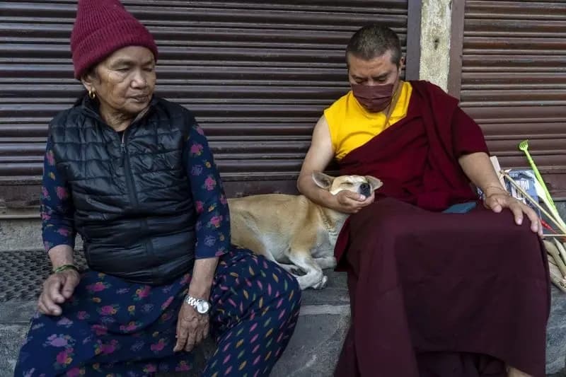 تصاویری از جشن میلاد بودا