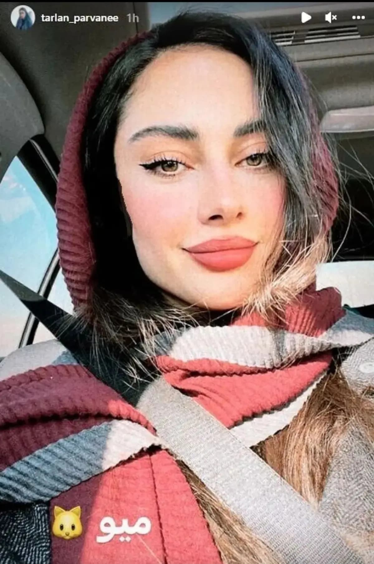 زیباترین عکس از ترلان پروانه