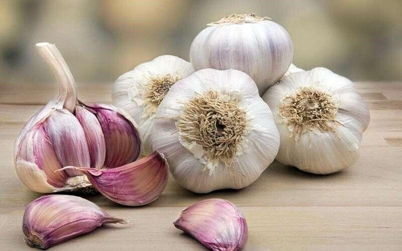 سیر خام بخوریم یا نخوریم؟