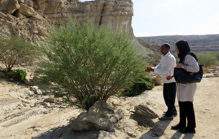 تأثیر گردشگری بر سبک زندگی جوامع محلی تأثیر گردشگری بر سبک زندگی جوامع محلی