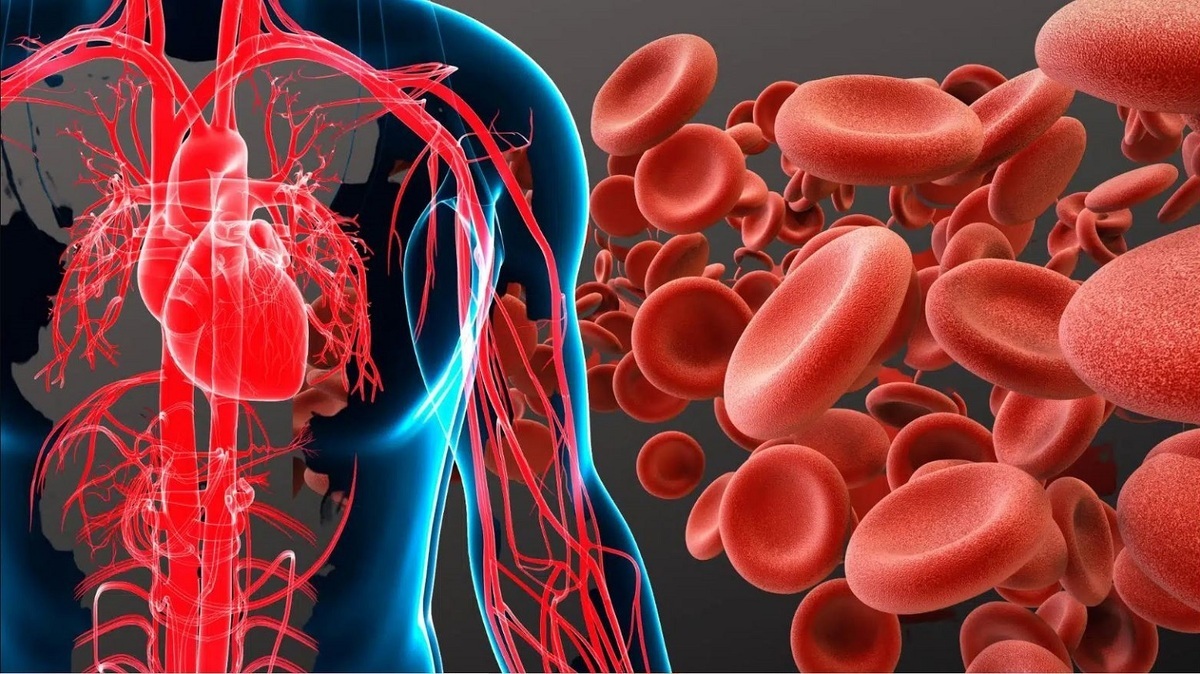 تفاوت کم‌خونی ناشی از فقر آهن و ویتامین B ۱۲