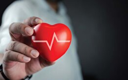 قلبت را دریاب؛ راهکار‌های علمی و عملی برای حفظ سلامت قلب