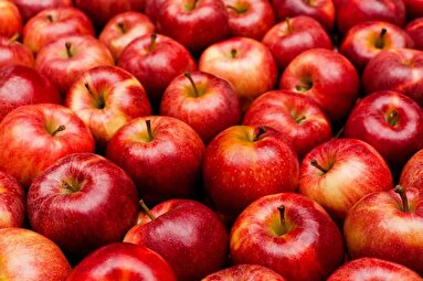خواص سیب؛ میوه‌ای با فواید بی‌نظیر برای بدن