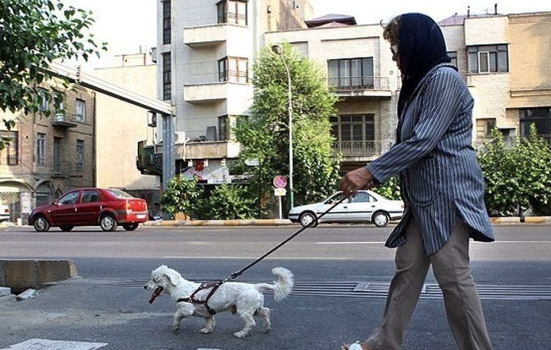 نگهداری حیوانات خانگی نگهداری حیوانات خانگی