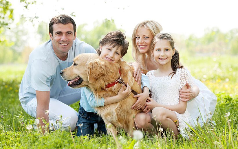 نگهداری حیوانات خانگی نگهداری حیوانات خانگی