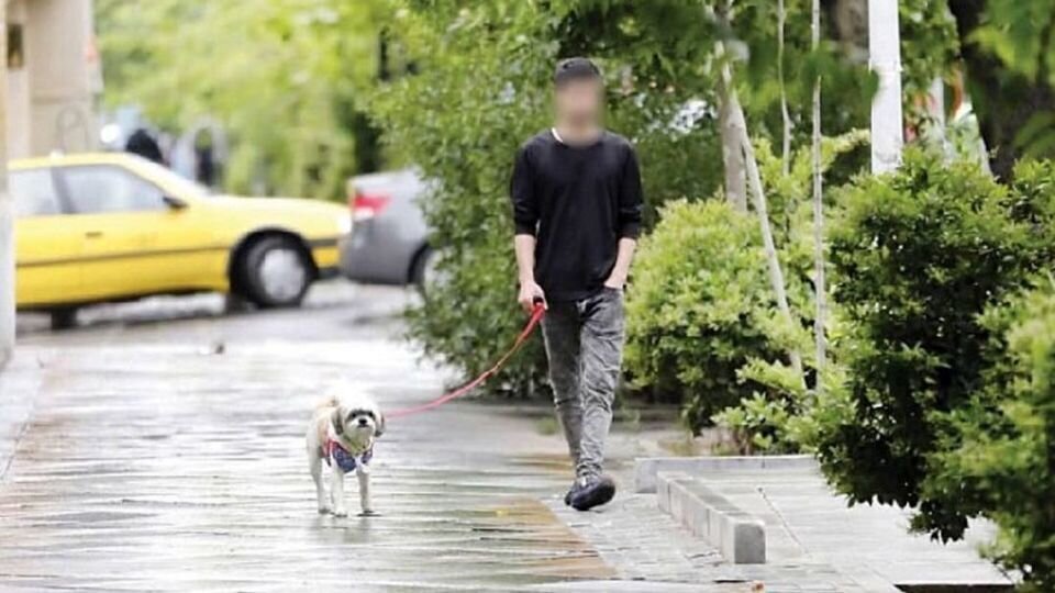 نگهداری حیوانات خانگی نگهداری حیوانات خانگی