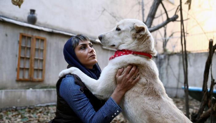 نگهداری حیوانات خانگی نگهداری حیوانات خانگی