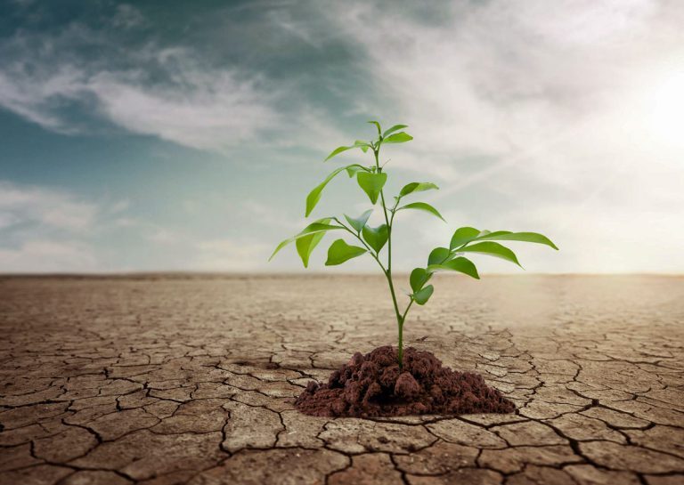 تاثیر سبک زندگی بر تشدید بحران آب در ایران تاثیر سبک زندگی بر تشدید بحران آب در ایران