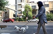 نگهداری حیوانات خانگی؛ پر کردن تنهایی یا پُز اجتماعی؟
