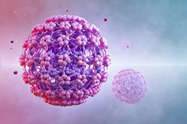 انتقال ویروس HPV از استخر واقعیت دارد؟