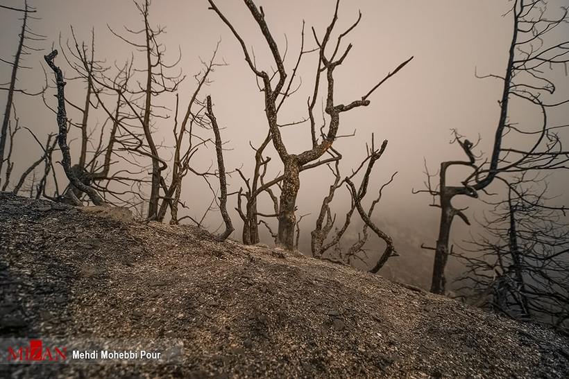 آتش سوزی در گلستان