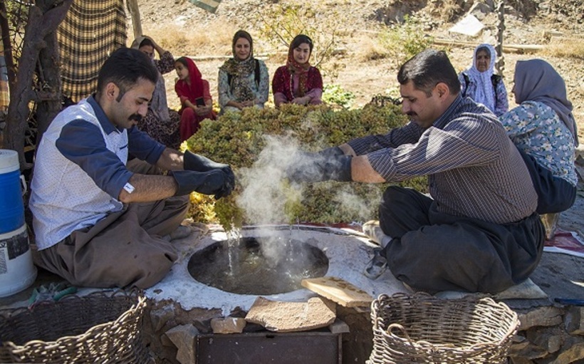 انگور کردستان