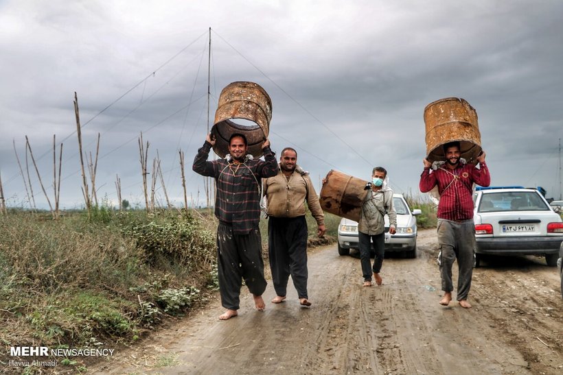 مراسم سنتی چپی زنی در بابلسر