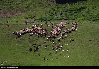  آغاز کوچ عشایر قره داغ 