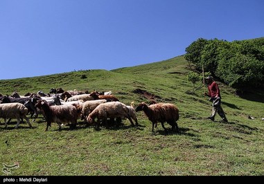  آغاز کوچ عشایر قره داغ 