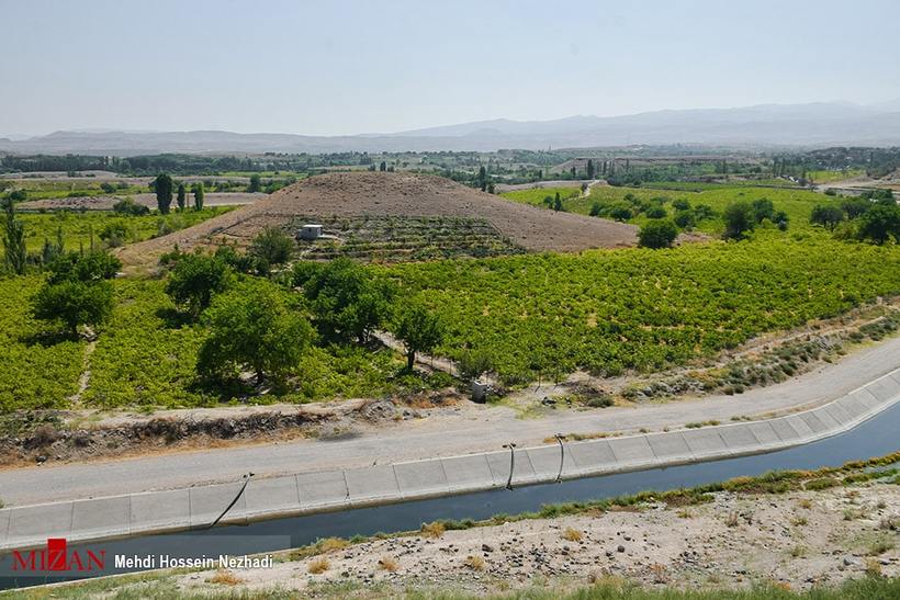 برداشت انگور از تاکستان‌های شهرستان مشگین‌شهر