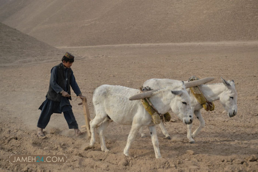 بیداد فقر و گرسنگی در افغانستان