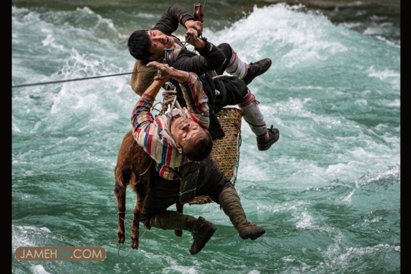 برندگان مسابقه عکس حفاظت از طبیعت در سال ۲۰۲۱