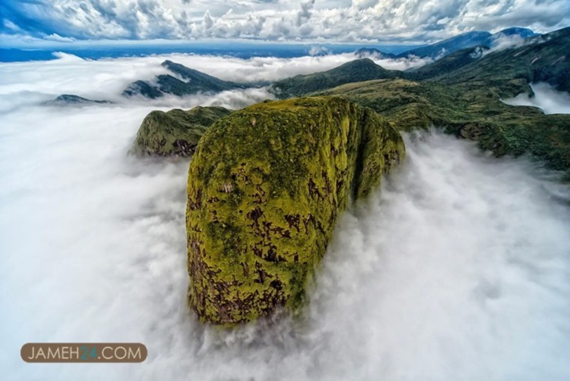 برندگان مسابقه عکس حفاظت از طبیعت در سال ۲۰۲۱