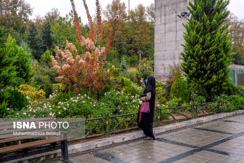 تهران پاییزی/ تصاویر