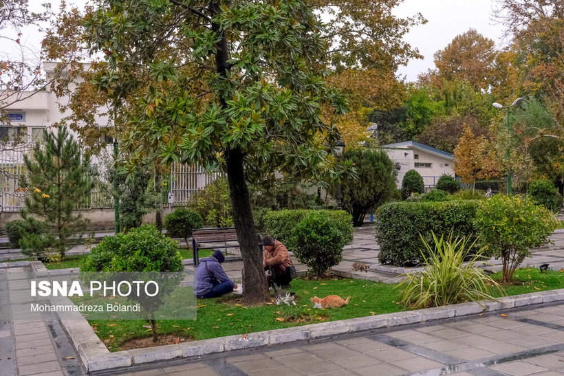 تهران پاییزی/ تصاویر