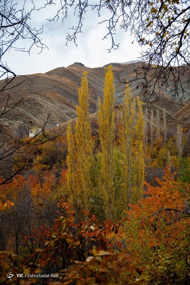 طبیعت پاییزی روستای «آهار»