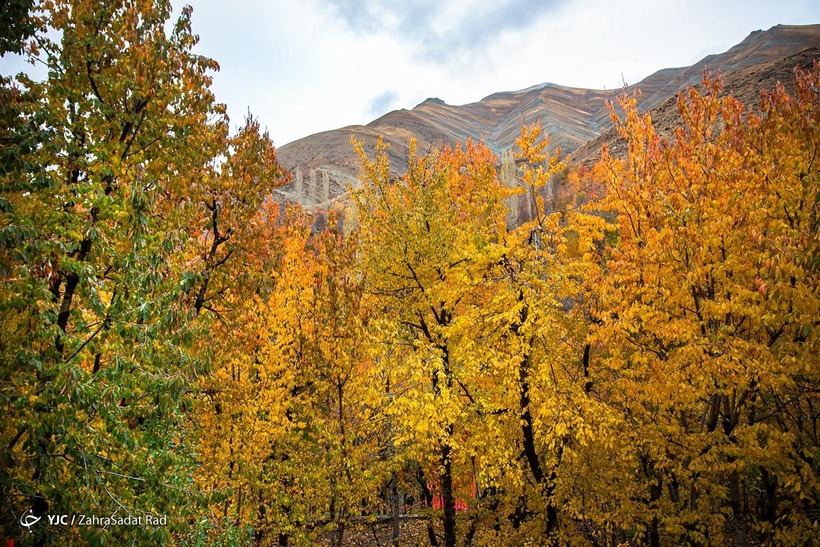 طبیعت پاییزی روستای «آهار»