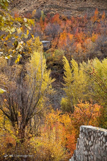 طبیعت پاییزی روستای «آهار»