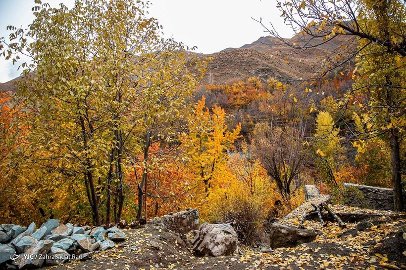 طبیعت پاییزی روستای «آهار»