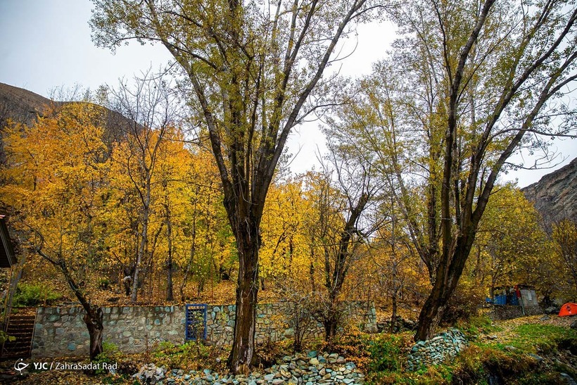 طبیعت پاییزی روستای «آهار»