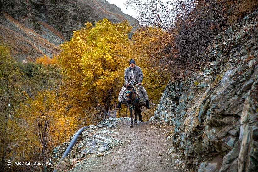 طبیعت پاییزی روستای «آهار»