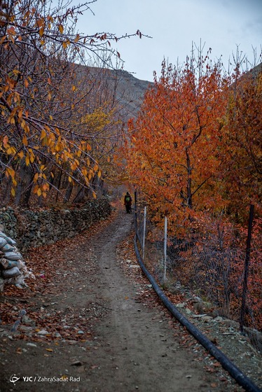 طبیعت پاییزی روستای «آهار»