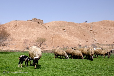 آتشکده «بهرام ری» جاذبه تاریخی تهران