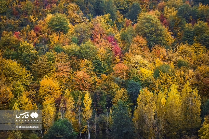 پاییز هزار رنگ مازندران