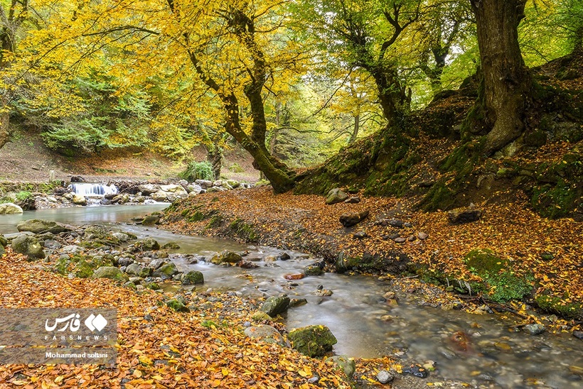 پاییز هزار رنگ مازندران