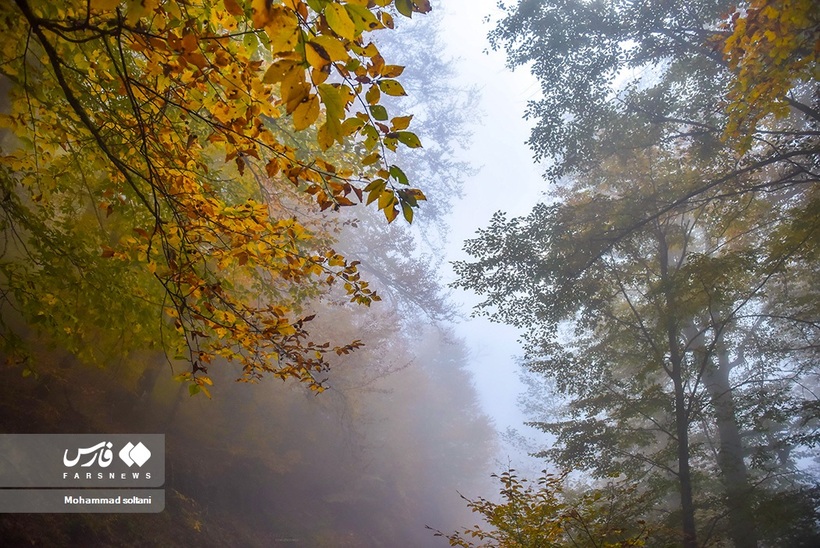 پاییز هزار رنگ مازندران