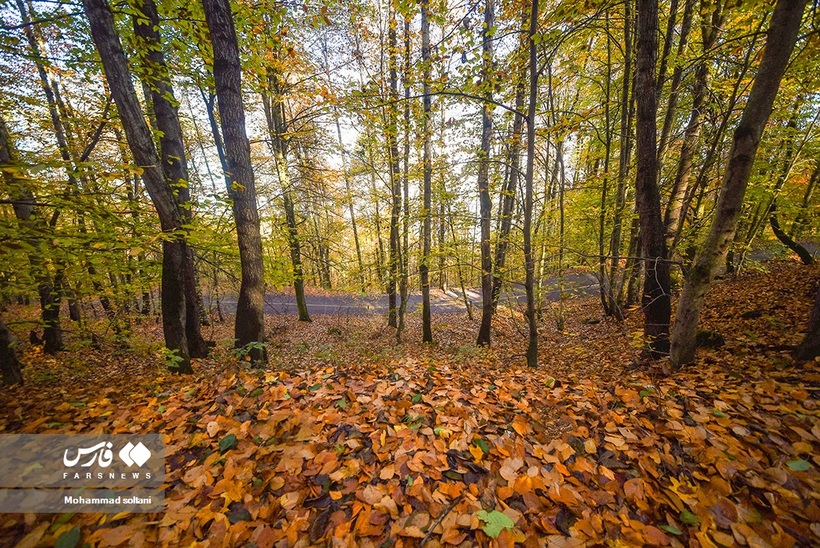 پاییز هزار رنگ مازندران