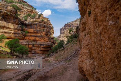 ایران زیباست؛ دره «شیرز»