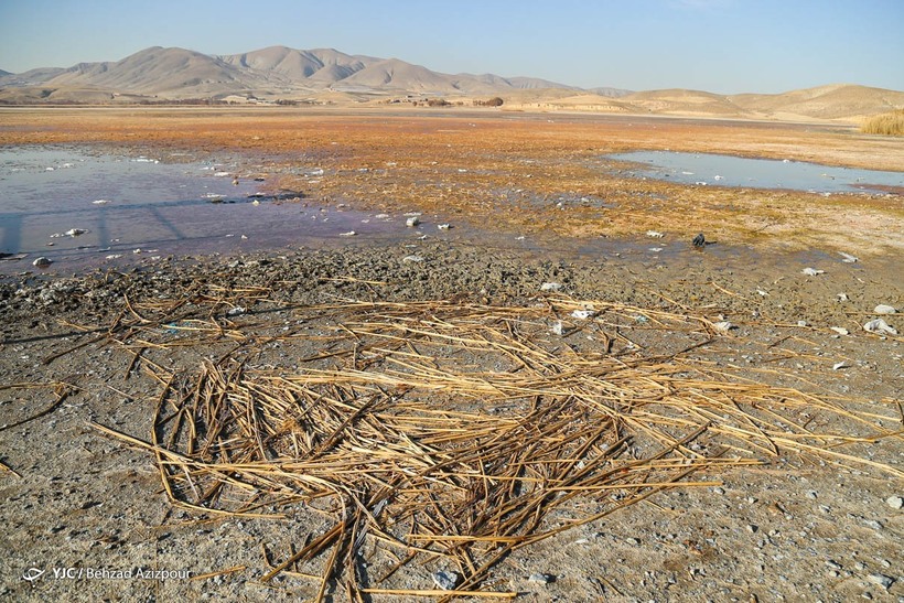 مرگ تالاب «قوری‌گل»