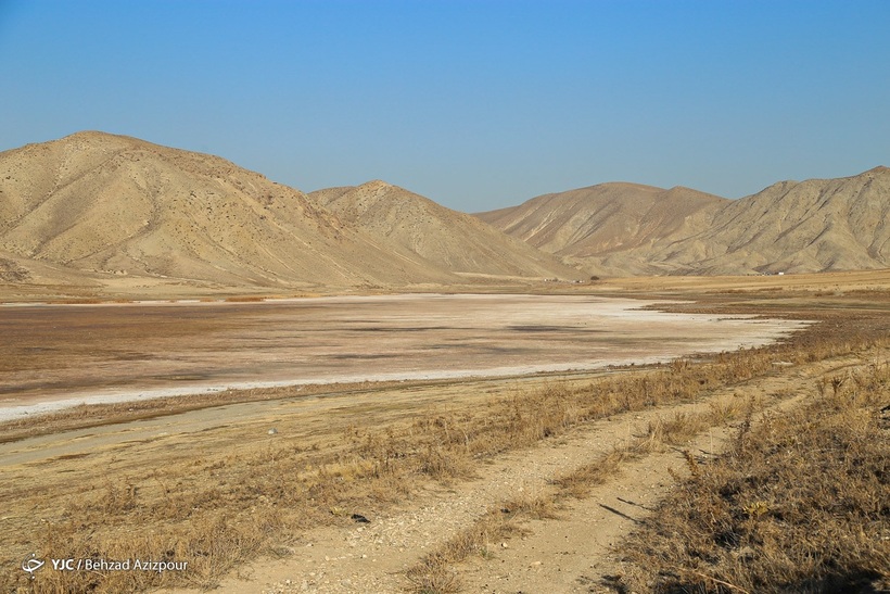 مرگ تالاب «قوری‌گل»