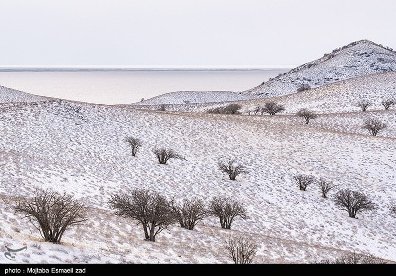 طبیعت زمستانی جزایر دریاچه ارومیه