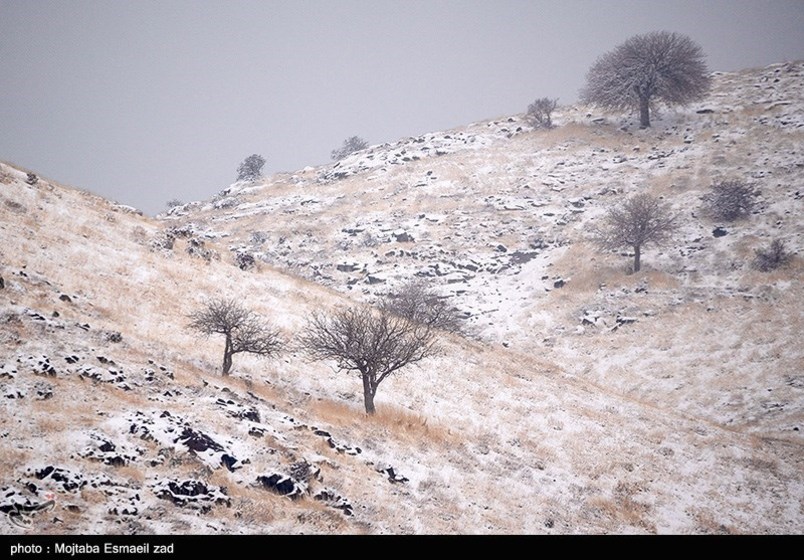 طبیعت زمستانی جزایر دریاچه ارومیه