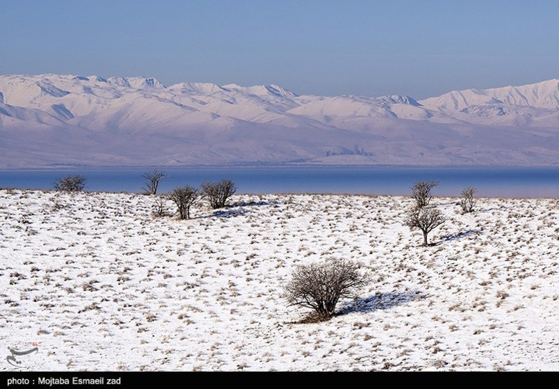 طبیعت زمستانی جزایر دریاچه ارومیه