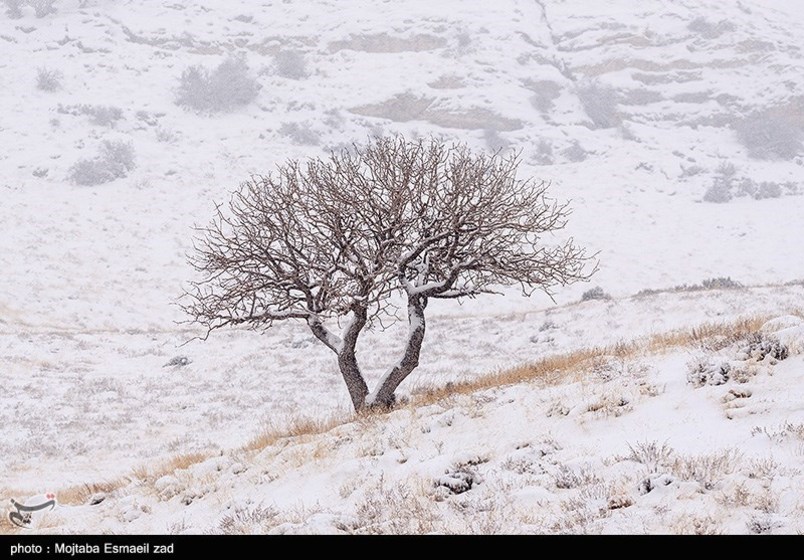 طبیعت زمستانی جزایر دریاچه ارومیه